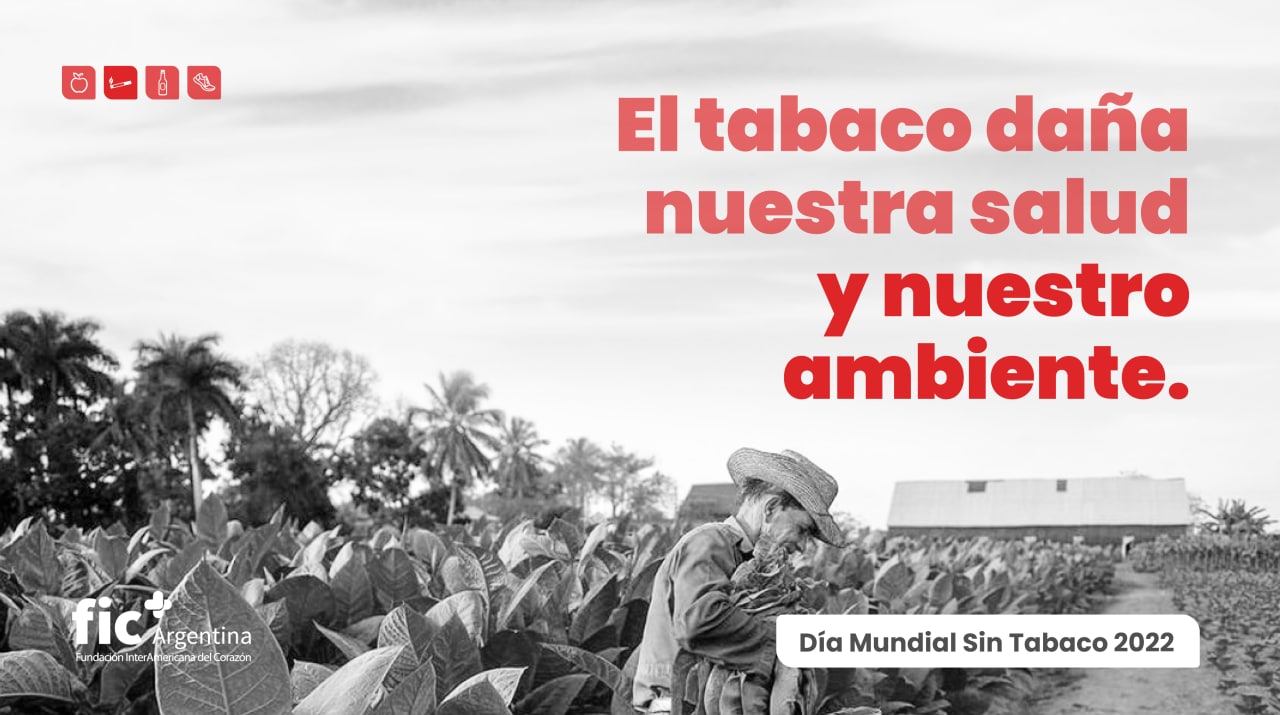 Día Mundial sin Tabaco: organizaciones de todo el mundo enfatizan sobre los daños al ambiente del tabaco